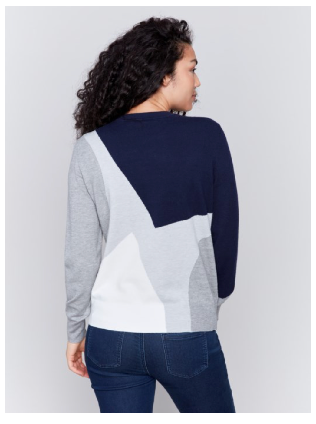 Charlie B - Color Block Crew Neck Sweater