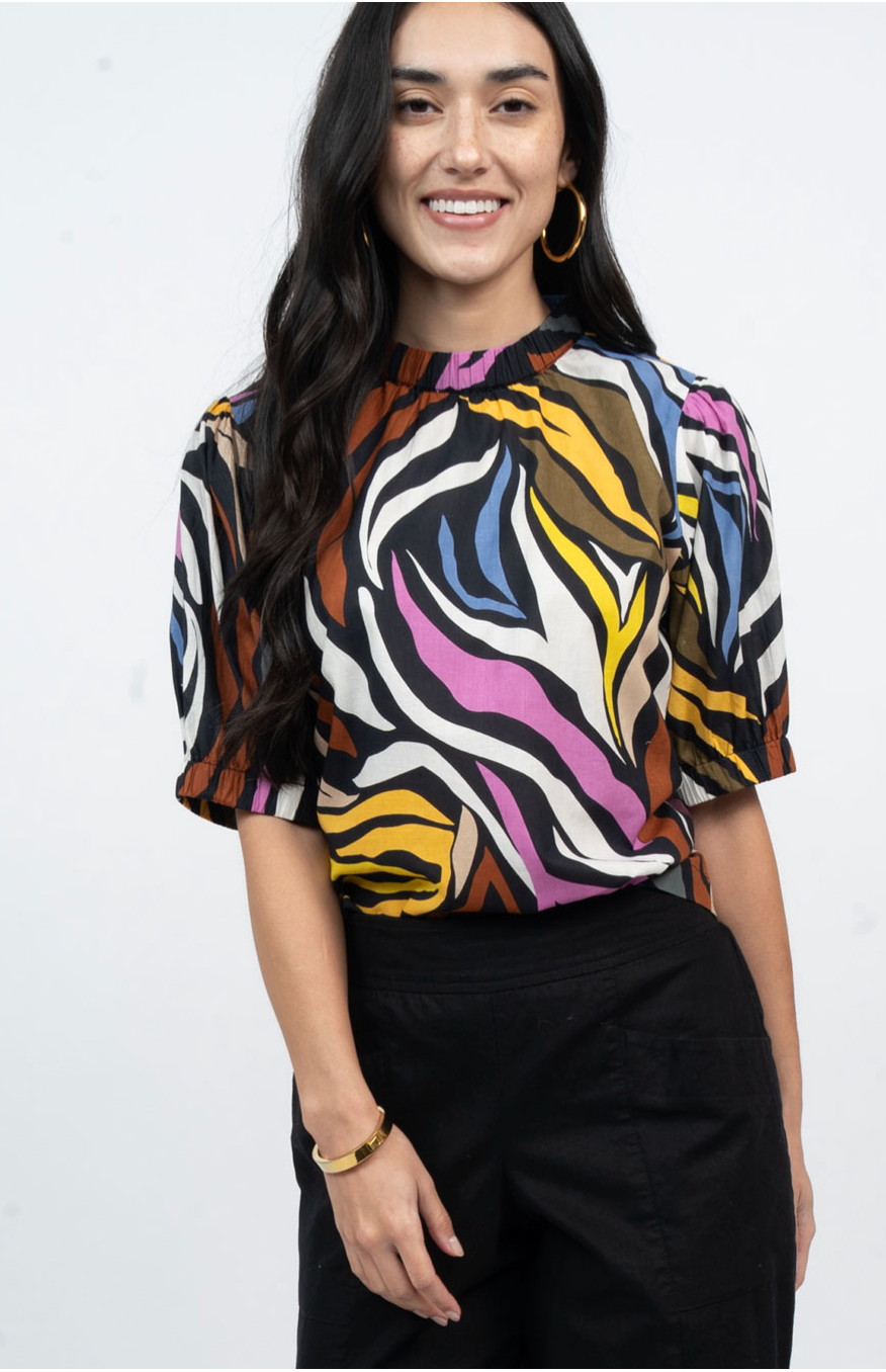 Ivy Jane - Multi Color Zebra Stripe Pullover Top